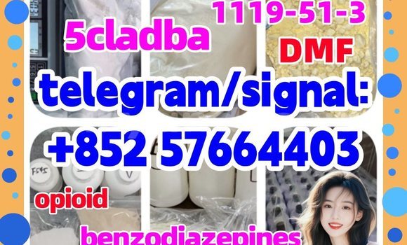 Medium with watermark z1