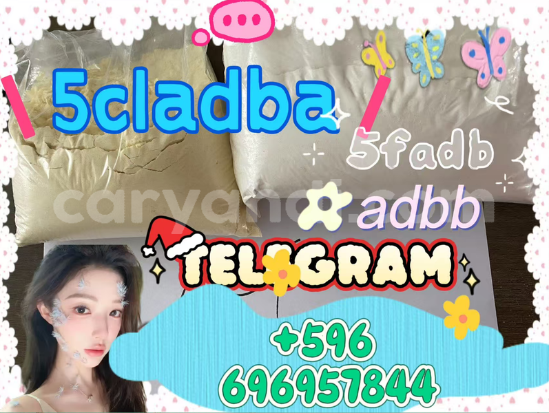 Big with watermark screenshot 2026 07 02 171258 360