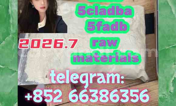 Medium with watermark 5