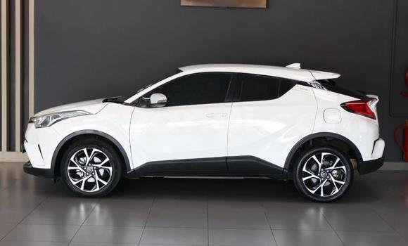 Buy Used Toyota C-HR White Car in Sesheke in Western Buy Used Toyota C-HR White Car in Sesheke in Western
