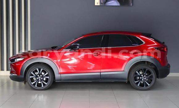 Buy Used Mazda CX-3 Red Car in Serenje in Central Buy Used Mazda CX-3 Red Car in Serenje in Central