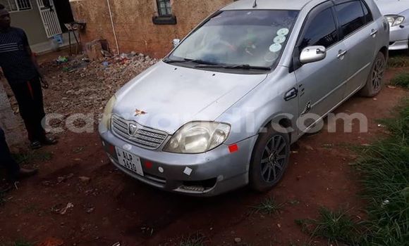 Tenga Tsaru Toyota Allex Sirivha Mota in Lusaka in Zambia Tenga Tsaru Toyota Allex Sirivha Mota in Lusaka in Zambia