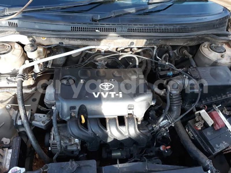 Big with watermark 51249705 628918867539081 4881389245693952000 n