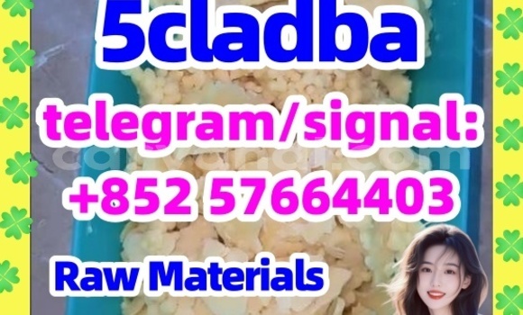 Medium with watermark 51