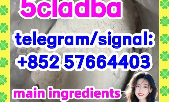Medium with watermark 54