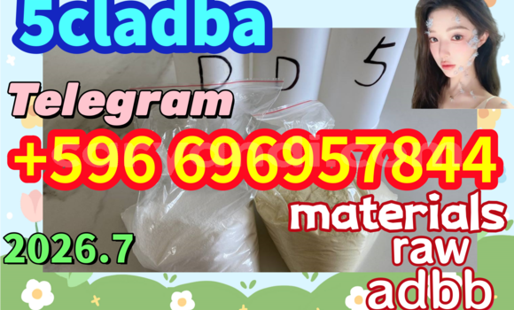 Medium with watermark dfdd