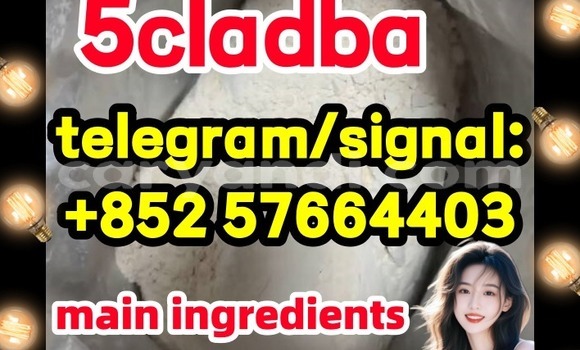 Medium with watermark 54
