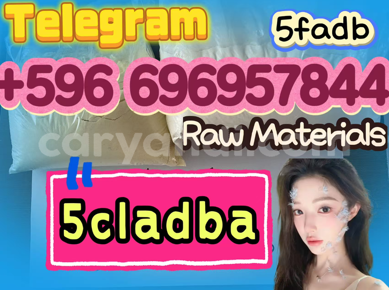 Big with watermark screenshot 2026 07 03 091046 612