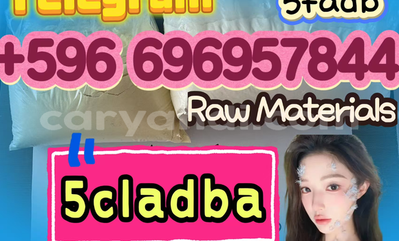 Medium with watermark screenshot 2026 07 03 091046 612