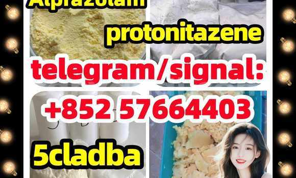 Medium with watermark z1