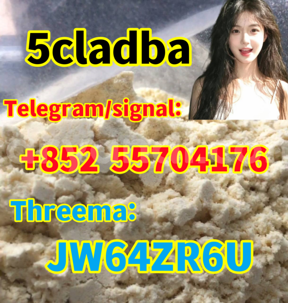 Big with watermark 2549a3b6 16e5 4ede 92e6 7bb2108452e0