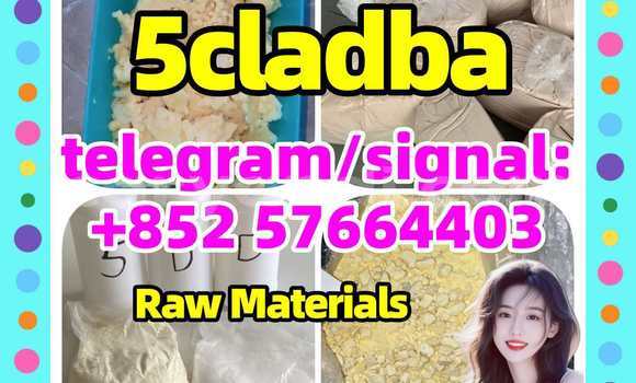 Tenga 5Cladba 5Cladbb Yellow in Chinsali in Northern Tenga 5Cladba 5Cladbb Yellow in Chinsali in Northern