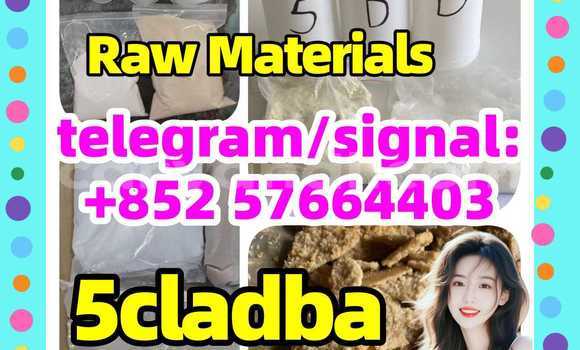 Medium with watermark 57