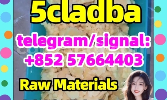 Medium with watermark 58