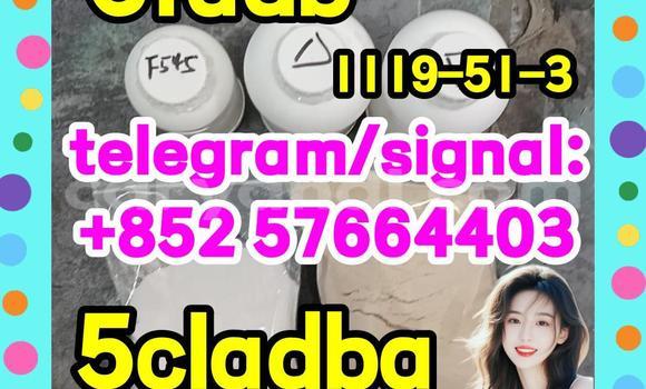 Medium with watermark 59