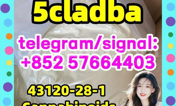 Medium with watermark 510