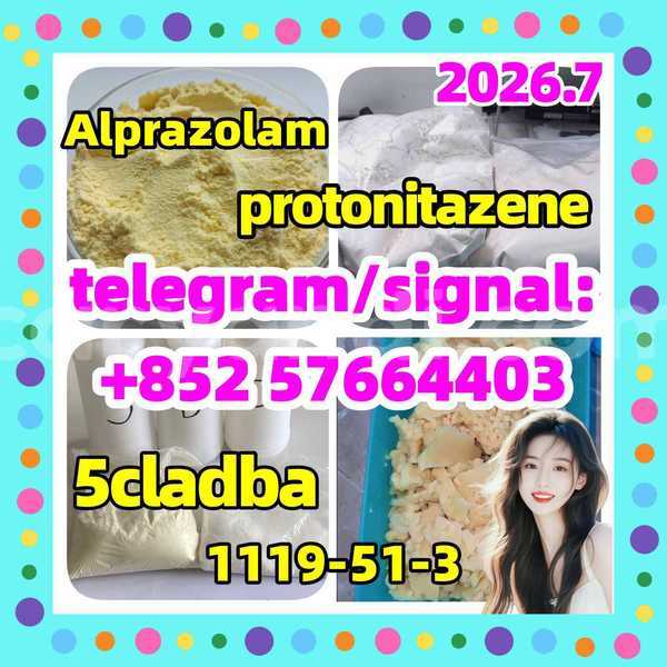 Big with watermark z3