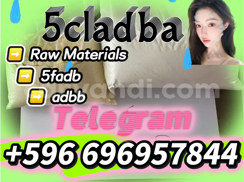 Big with watermark screenshot 2026 07 03 091031 484