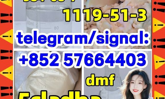 Medium with watermark 51