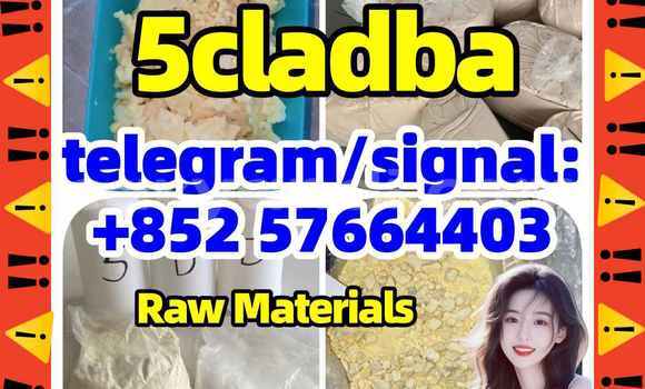 Medium with watermark 52