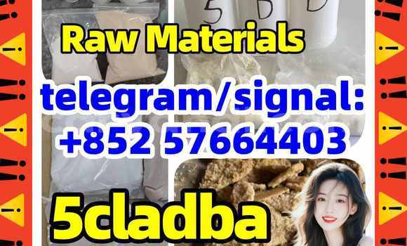 Medium with watermark 56
