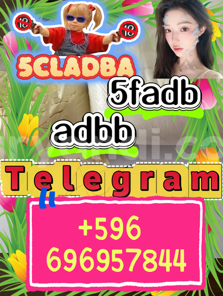 Big with watermark screenshot 2026 07 02 142703 991