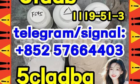 Medium with watermark 54