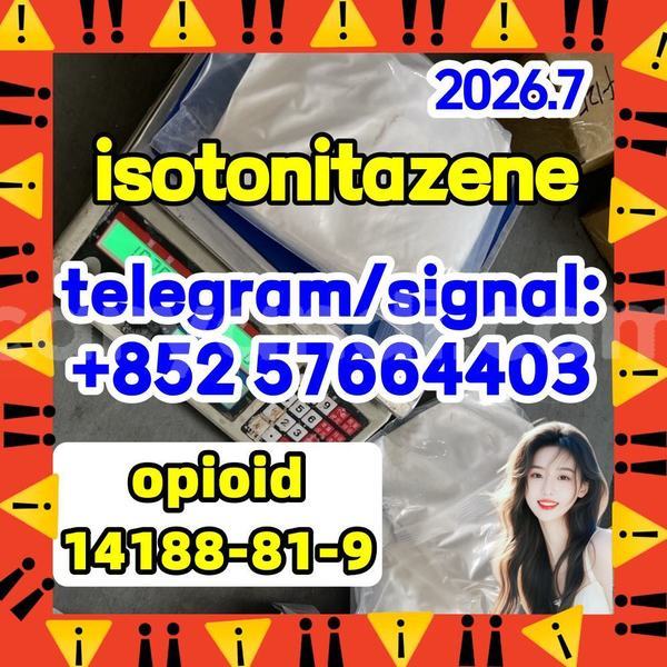 Big with watermark i2