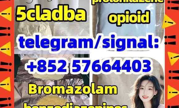 Medium with watermark z3