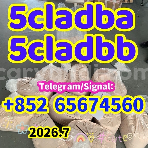 Big with watermark img 0226 %e5%89%af%e6%9c%ac %e5%89%af%e6%9c%ac
