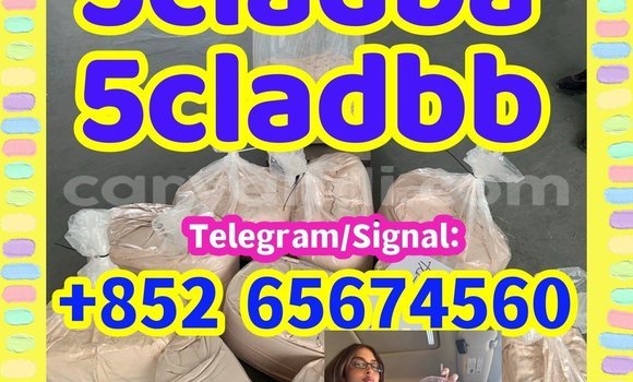 Buy 5cladba,raw material in Chingola in Zambia Buy 5cladba,raw material in Chingola in Zambia