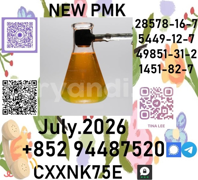 Big with watermark p24