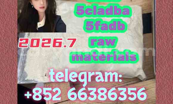 Medium with watermark 1