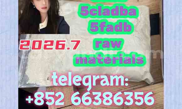 Medium with watermark 2