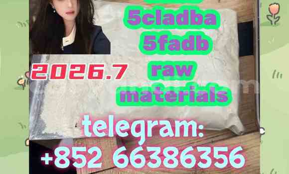 Medium with watermark 8