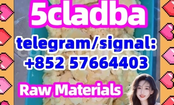 Medium with watermark 56