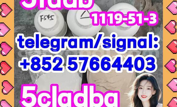 Medium with watermark 59