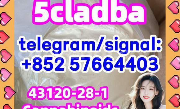 Medium with watermark 510