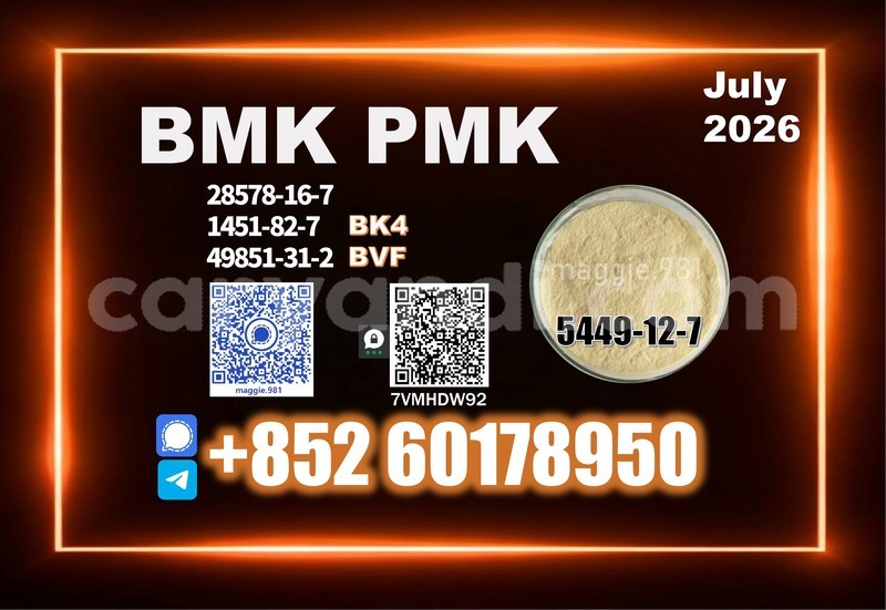 Big with watermark bmk cas 5449 12 7 synthesis reaction vessel