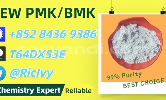 Buy Used Coggiola T Rex Black Car in Kalengwa in North-Western