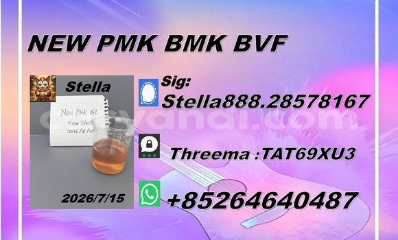 Medium with watermark 2026 07 16 082733