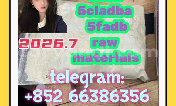 Medium with watermark 1