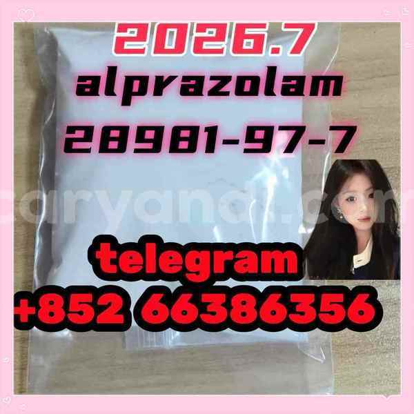 Big with watermark photo 2026 03 04 10 21 42 %e5%89%af%e6%9c%ac