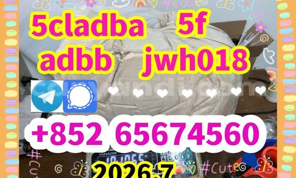 Buy 5cladba,raw material in Chingola in Zambia Buy 5cladba,raw material in Chingola in Zambia