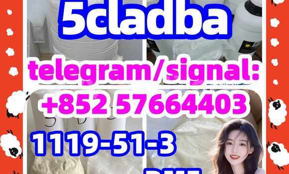 Medium with watermark 51