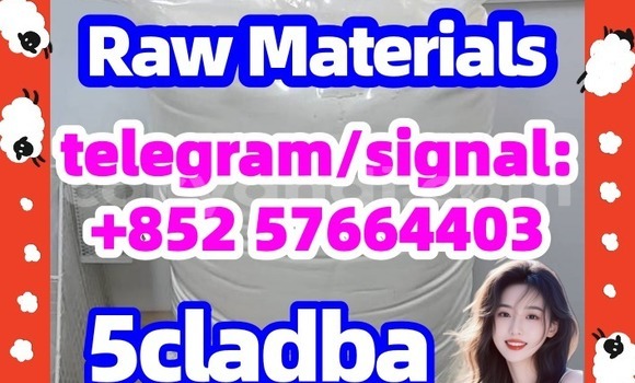 Medium with watermark 52
