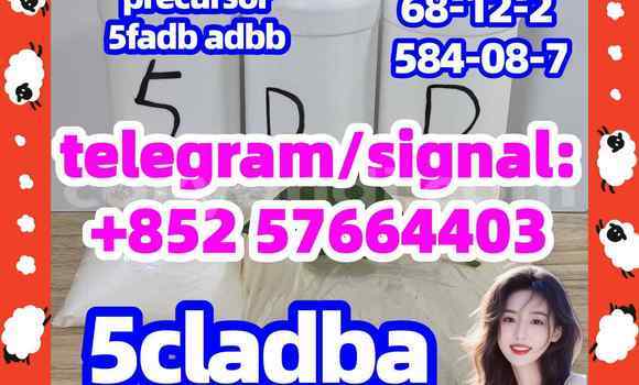 Medium with watermark 53