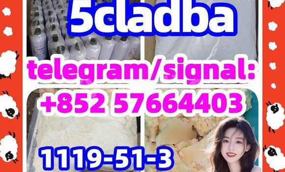 Medium with watermark 55