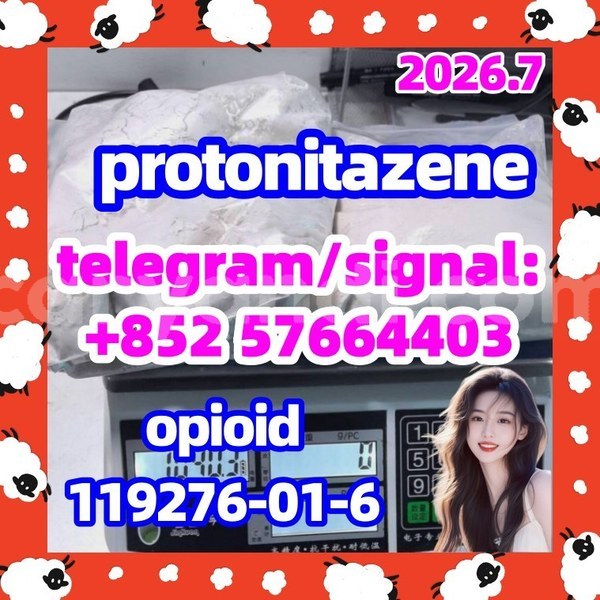 Big with watermark p1