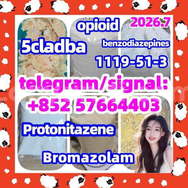 Big with watermark z2